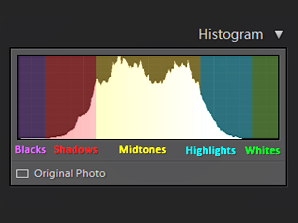 corso di fotografia videomakign e musica